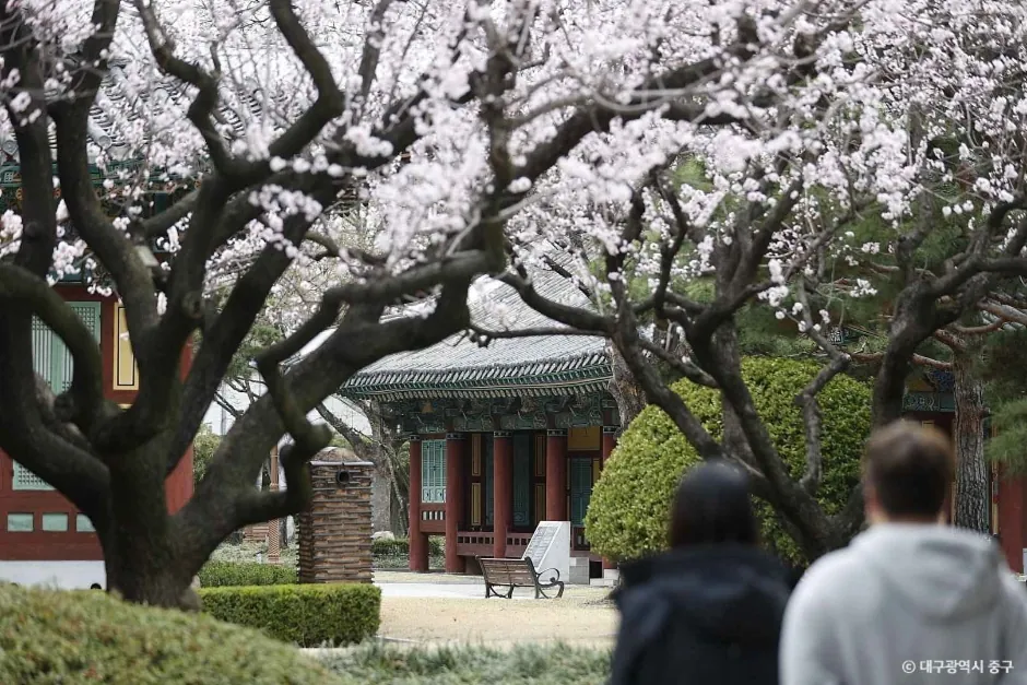 대구