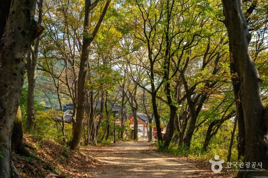 보경사