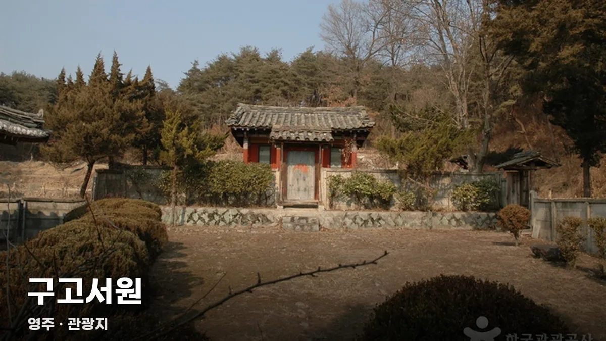 오늘영주