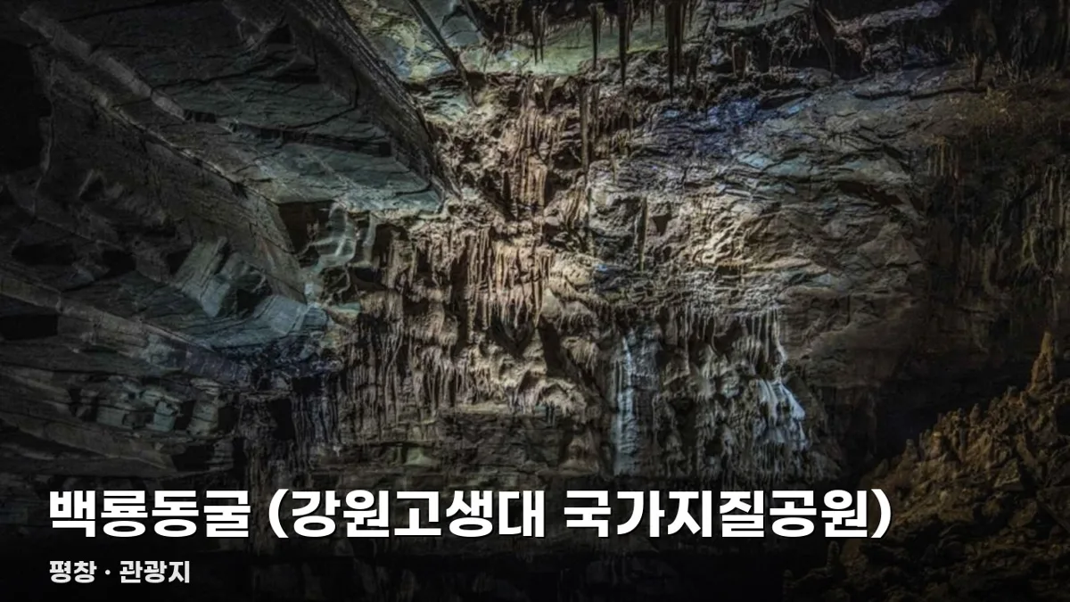 백룡동굴 (강원고생대 국가지질공원)