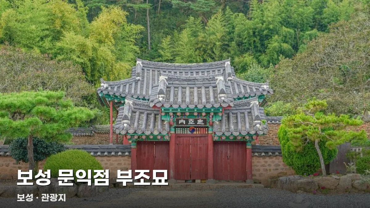 오늘보성