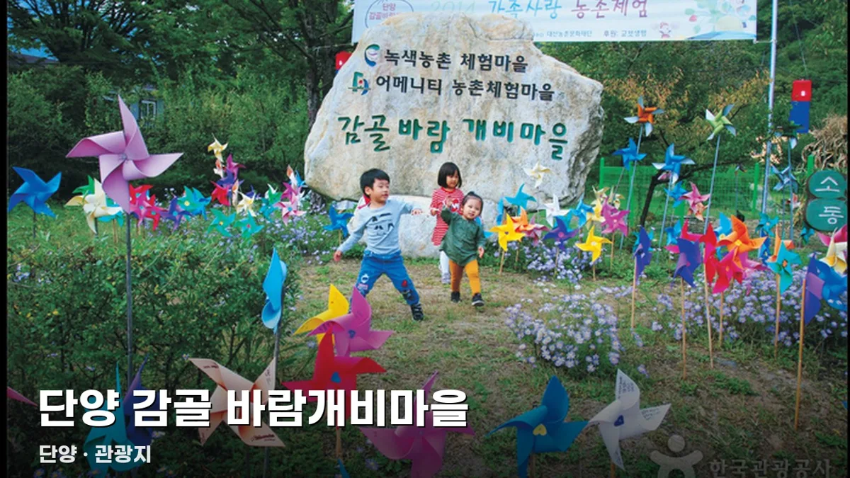 오늘단양