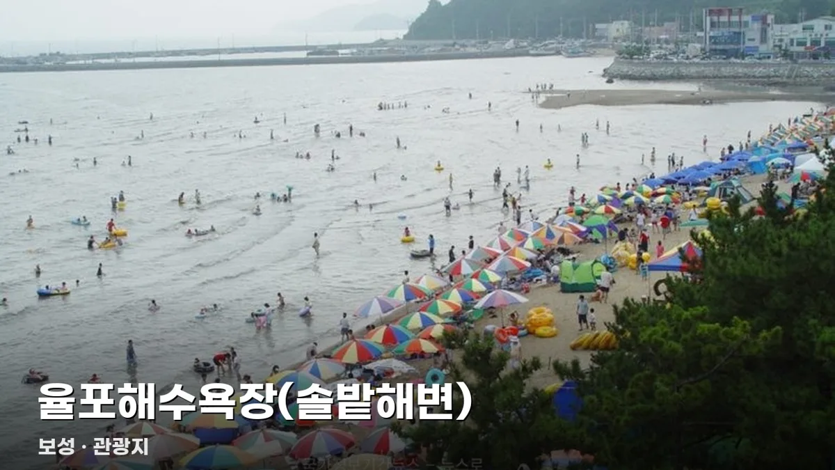 율포해수욕장(솔밭해변)