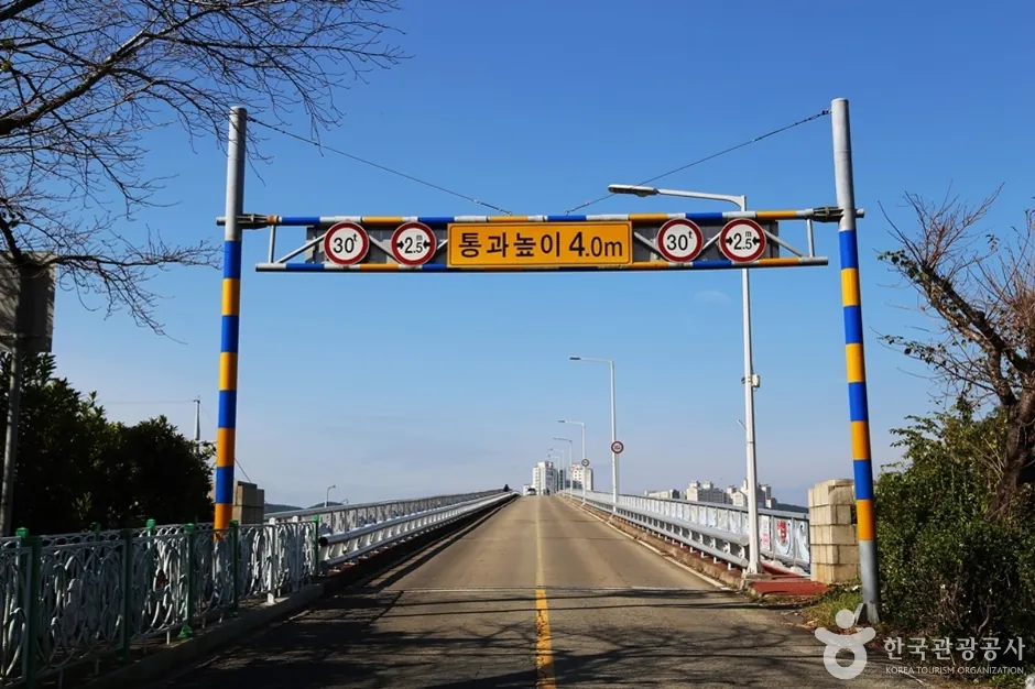 오늘거제