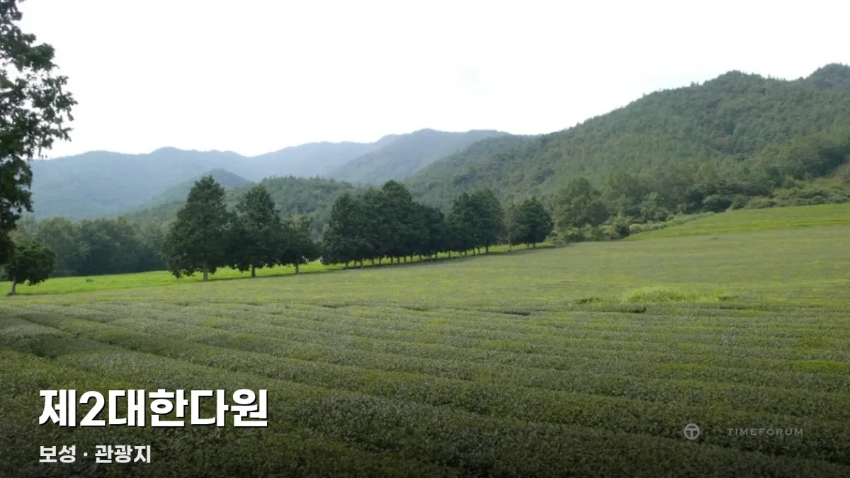 제2대한다원