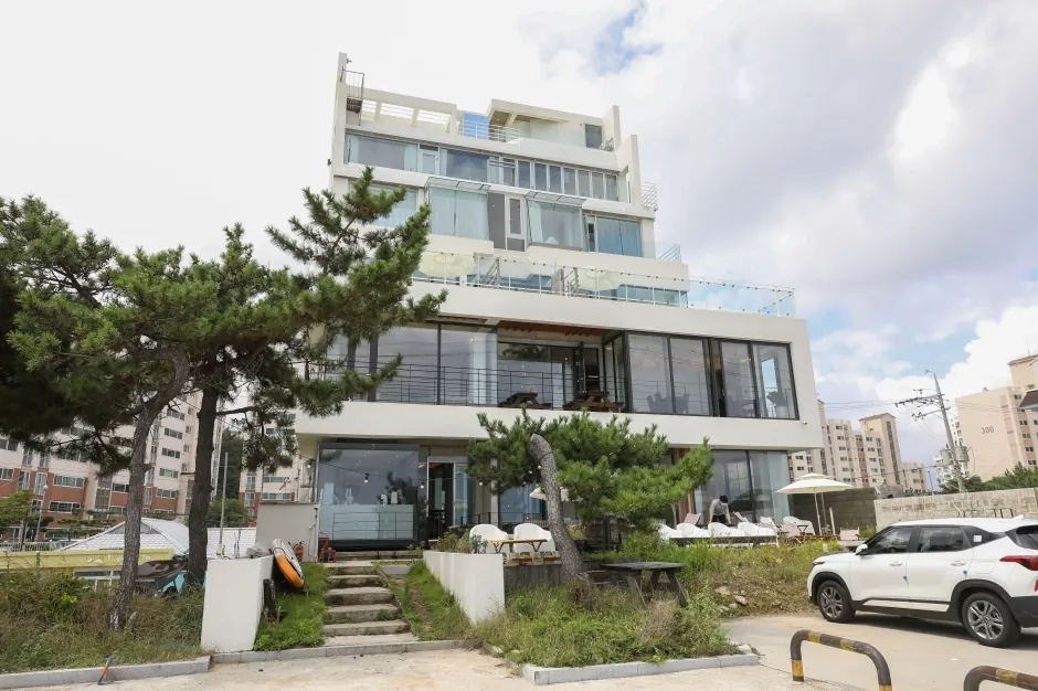 갈매기다방