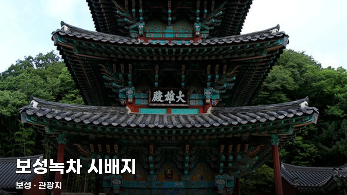 보성녹차 시배지