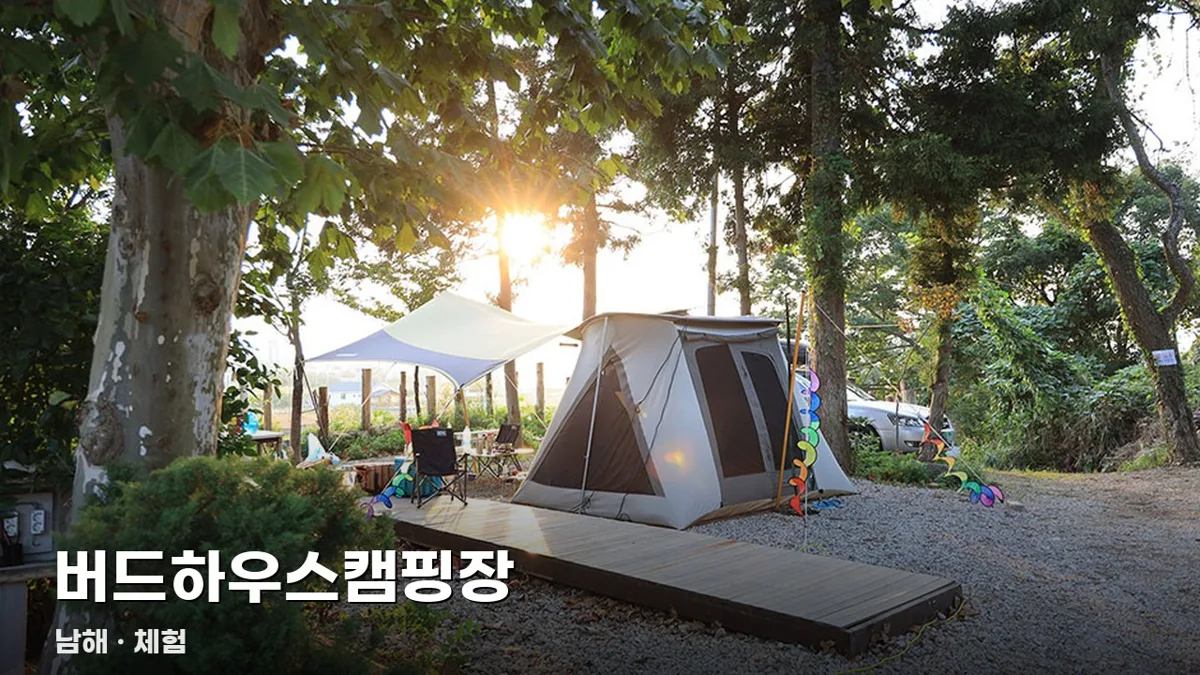 버드하우스캠핑장