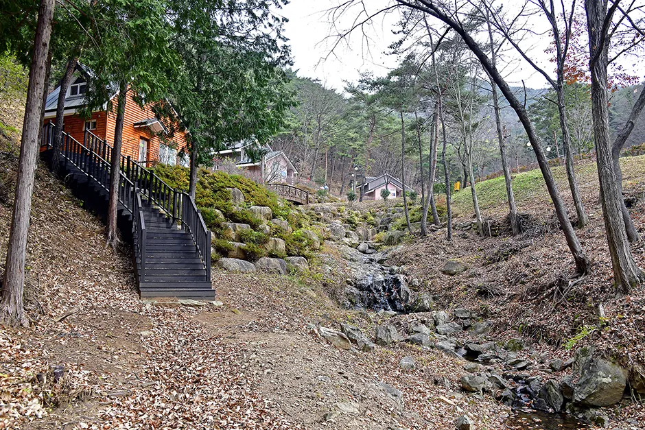 순천자연휴양림 야영장