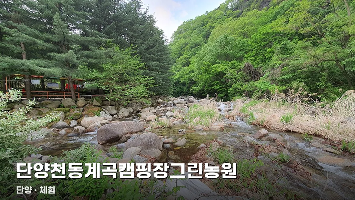단양천동계곡캠핑장그린농원