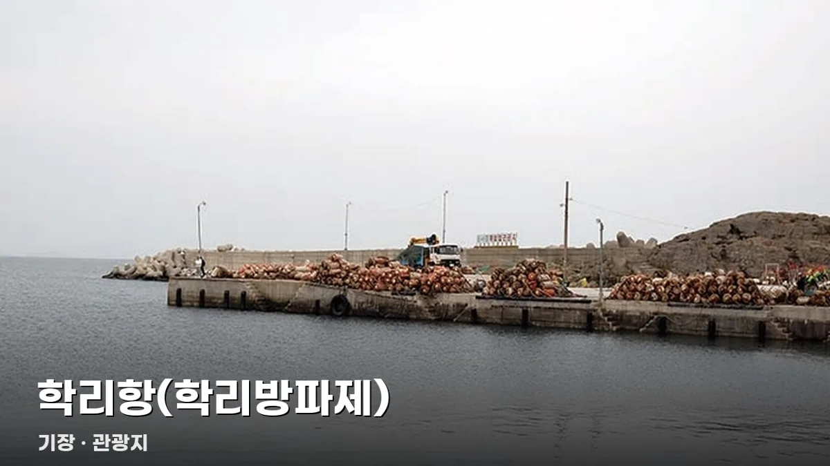 학리항(학리방파제)