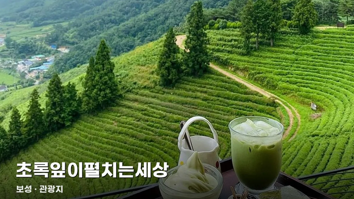 초록잎이펼치는세상