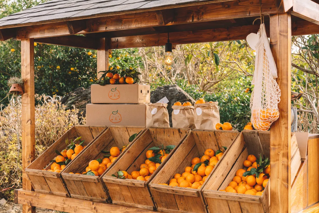 감따남