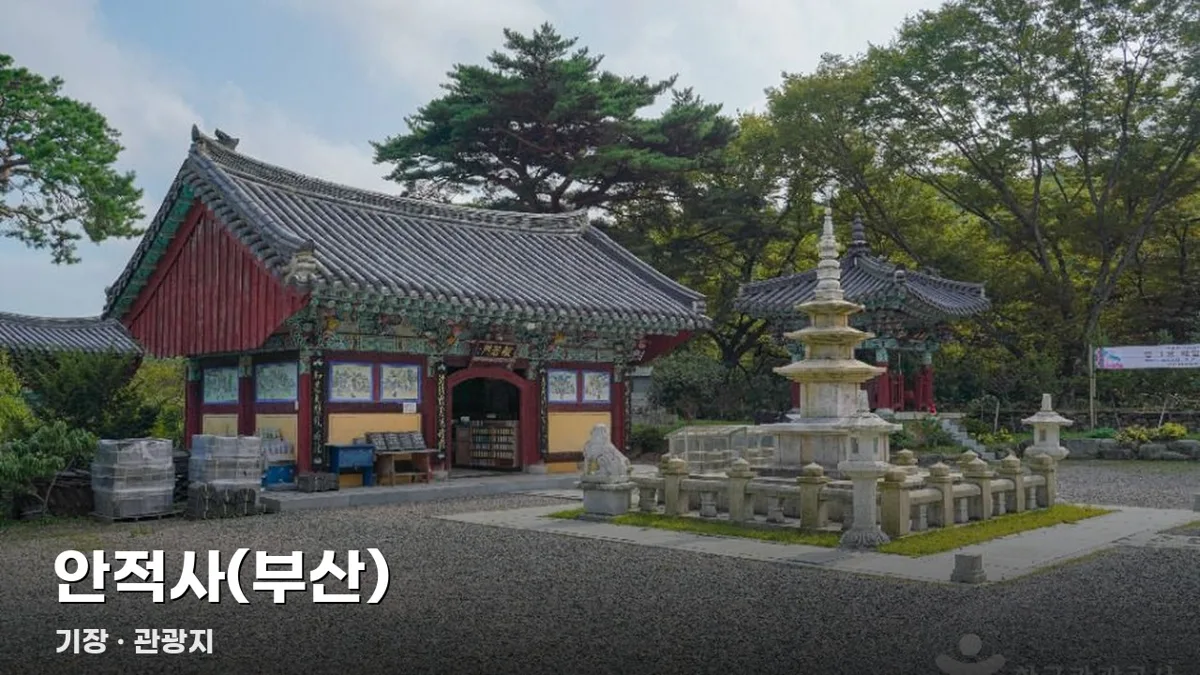 오늘기장